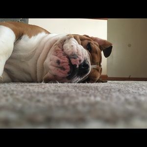 Meet your Posher, Olivia